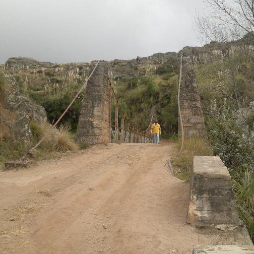 DanielSquarzon's profile picture. 