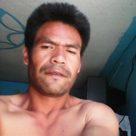 MlpocO's profile picture. 