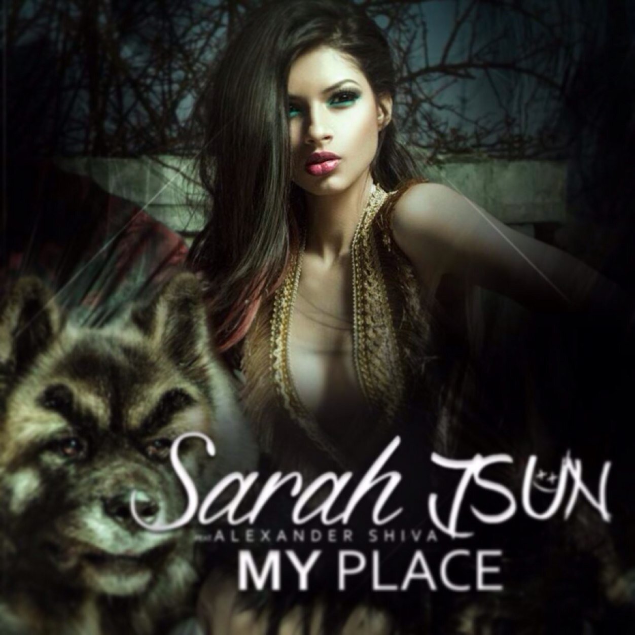 SarahJSun's profile picture. Artist / Vocalist / Writer Facebook: https://t.co/16QQYTxAeP Check out my new song! https://t.co/dQV1wmnURz