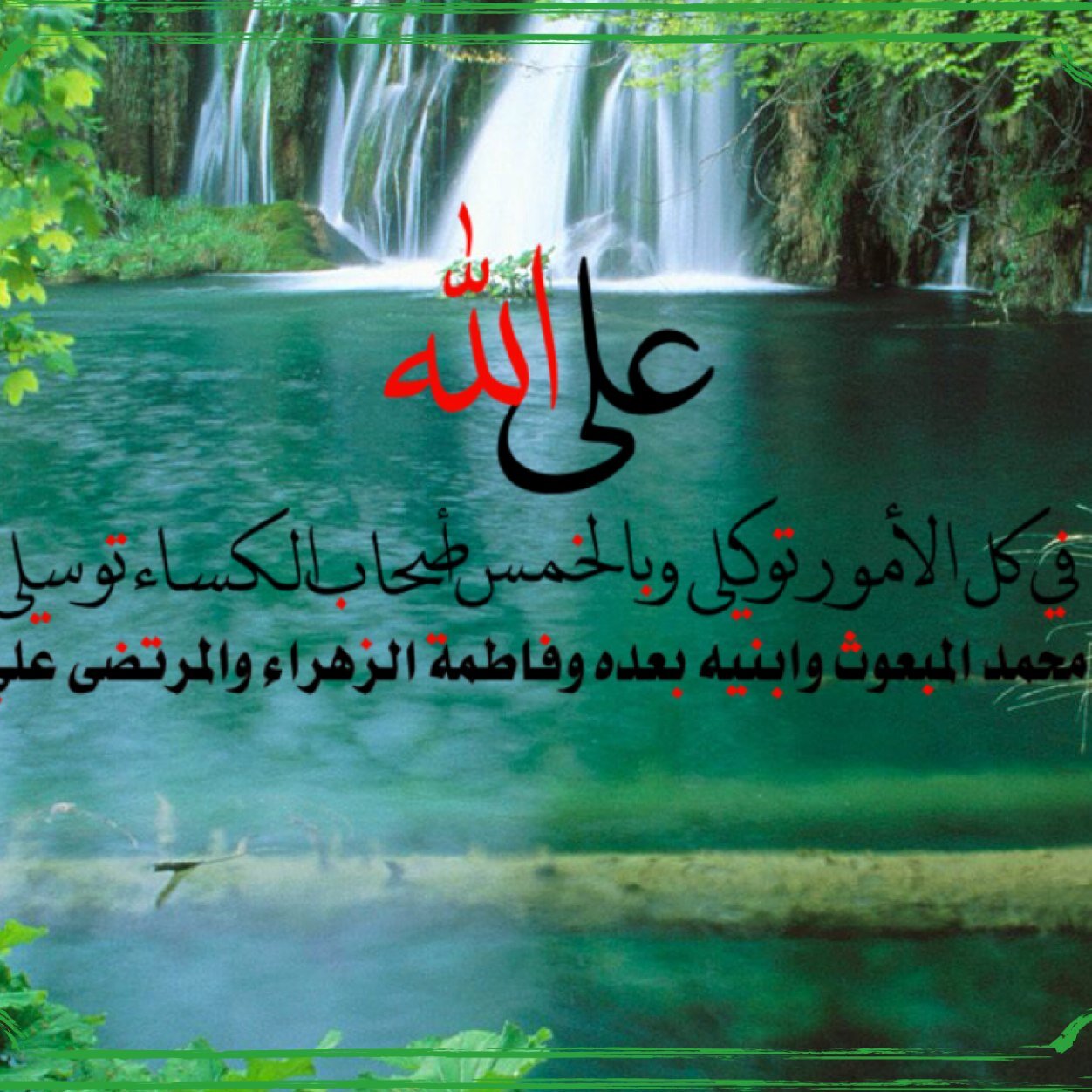 Amani_bloushi's profile picture. 