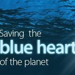 Here to raise awareness to help protect the ocean from human threats!