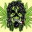 Romaniment's profile image