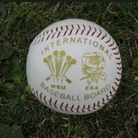 Welsh Baseball (@welshbaseball) 's Twitter Profile