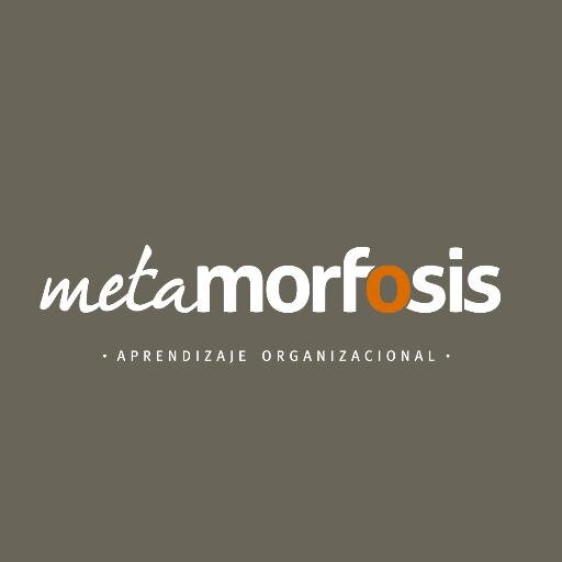 Metamorfósis se encarga de crear cultura organizacional para elevar los resultados de su empresa.