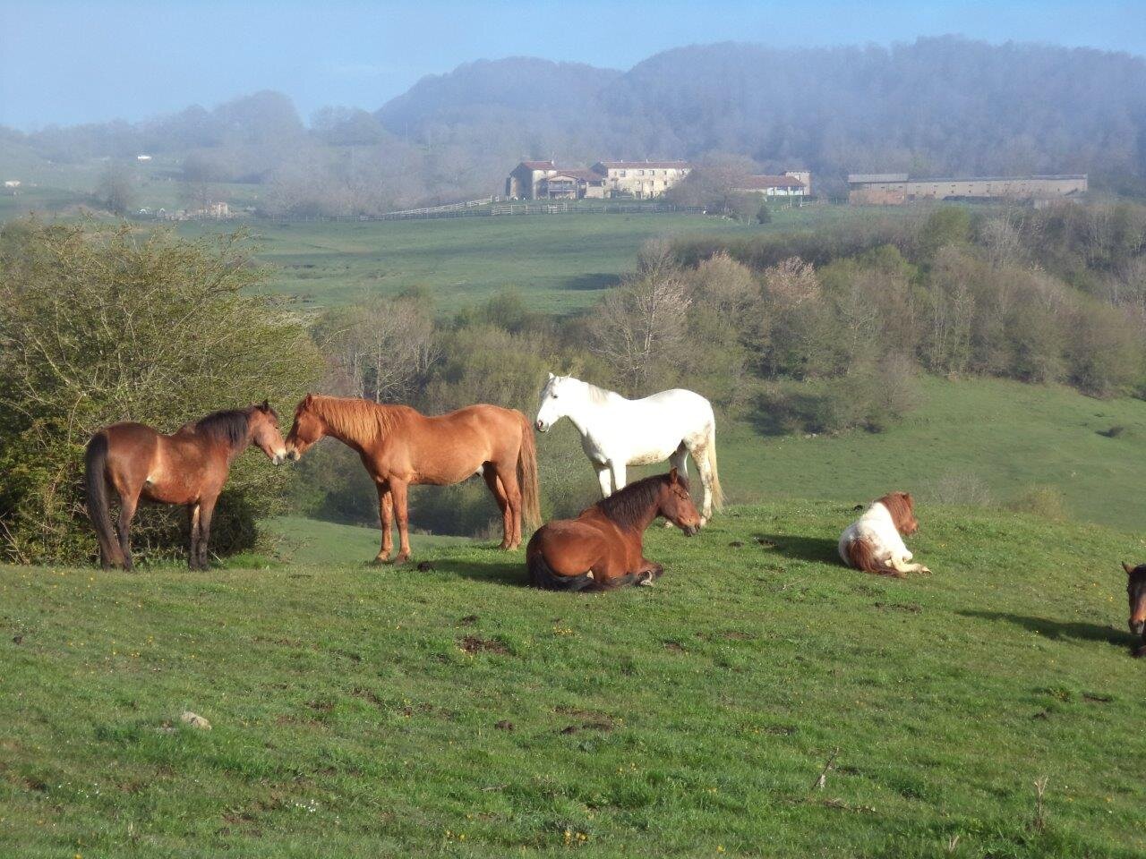 Masía de turismo rural. Situada en un paraje de increible belleza a 1270 mts. de altitud en la comarca de la Garrotxa (Girona)