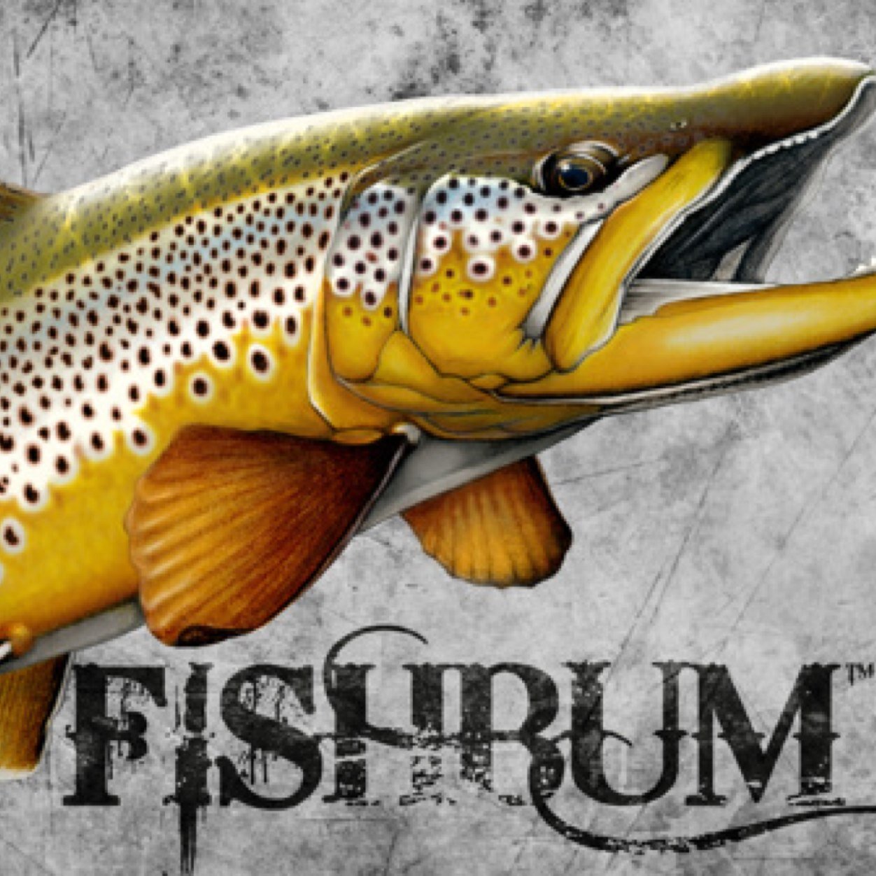 EbareBC's profile picture. Love anything to do with the outdoors! Camping, fishing, hiking. You know, the good stuff about life.