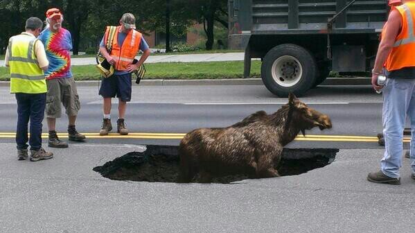 I'm just your friendly neighborhood sinkhole!