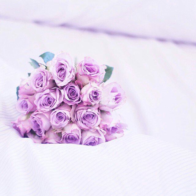 ‏‏‏‏‏(ابي)وإن نسوك فأن ابنتك التي تدعو لك دائما 
lnstagram:rana__5821
Ask.fm\ranna77
حسابي الثاني @5_ranna_5