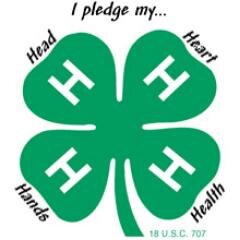 The Wayne County 4-H program helps youth reach their fullest potential. Members have opportunities to learn through hands-on activities and leadership.