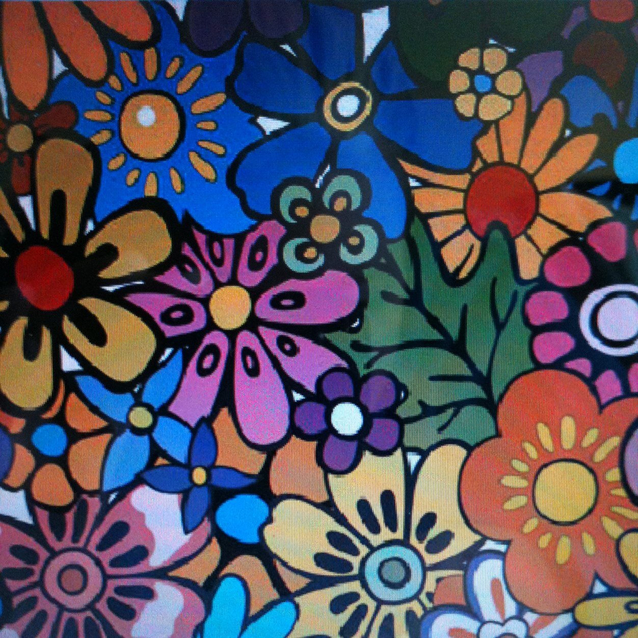 jenaasen's profile picture. 