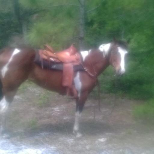 mkcktpa0713's profile picture. 