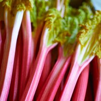 Tim Green (@timgreenphoto) 's Twitter Profile