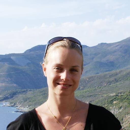 stegod13's profile picture. 