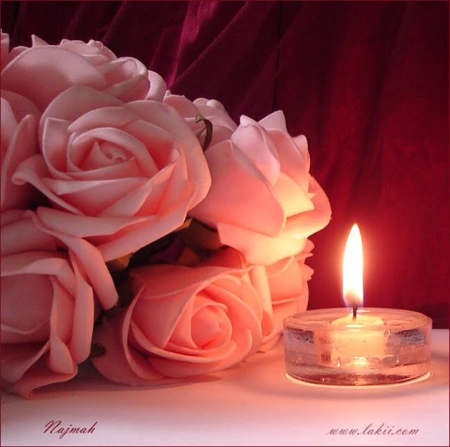 لـا تـــعـــلـيــق يـــلـــيــق بـــمـــا فـــي داخـــلــــي
گــــل مــــا يـــحـــمـــل هاشتــــاق #نــــبـــض ( ❤ ) هـــو لــــي..