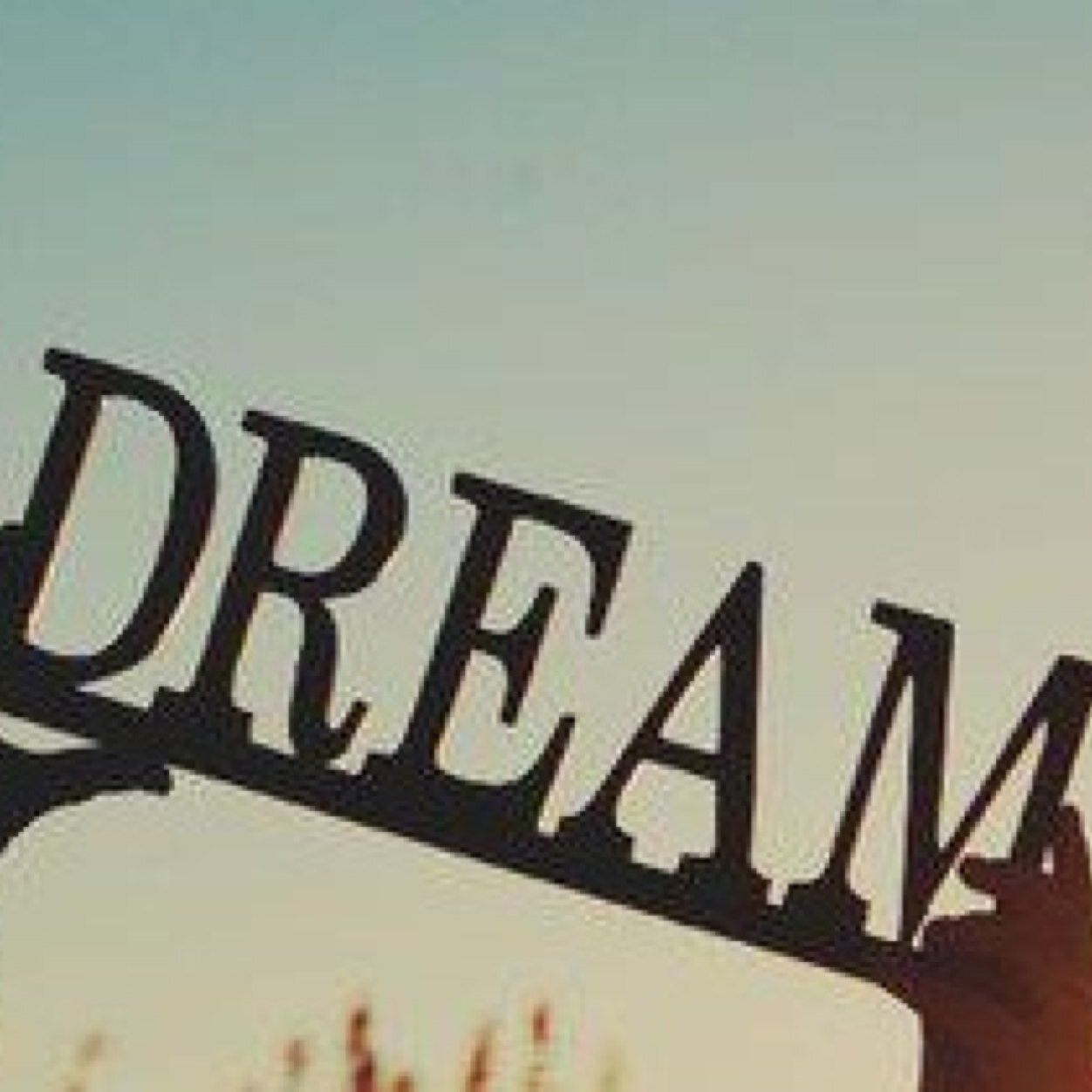 Destination Dreamzz is a dance academy for those who dream to do