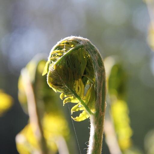 Journaliste @Actuenviro #HSE #droit #environnement #risques #ICPE #SST mais aussi #biodiversité #nature 🚴‍♂️
Rédacteur en chef Droit de l'environnement