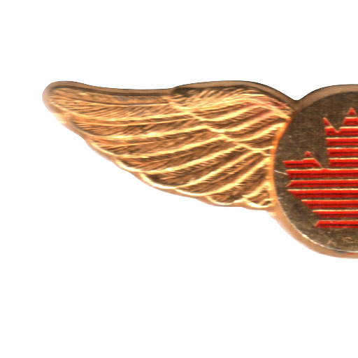 TheseGoldWings's profile picture. the view from the jumpseat.