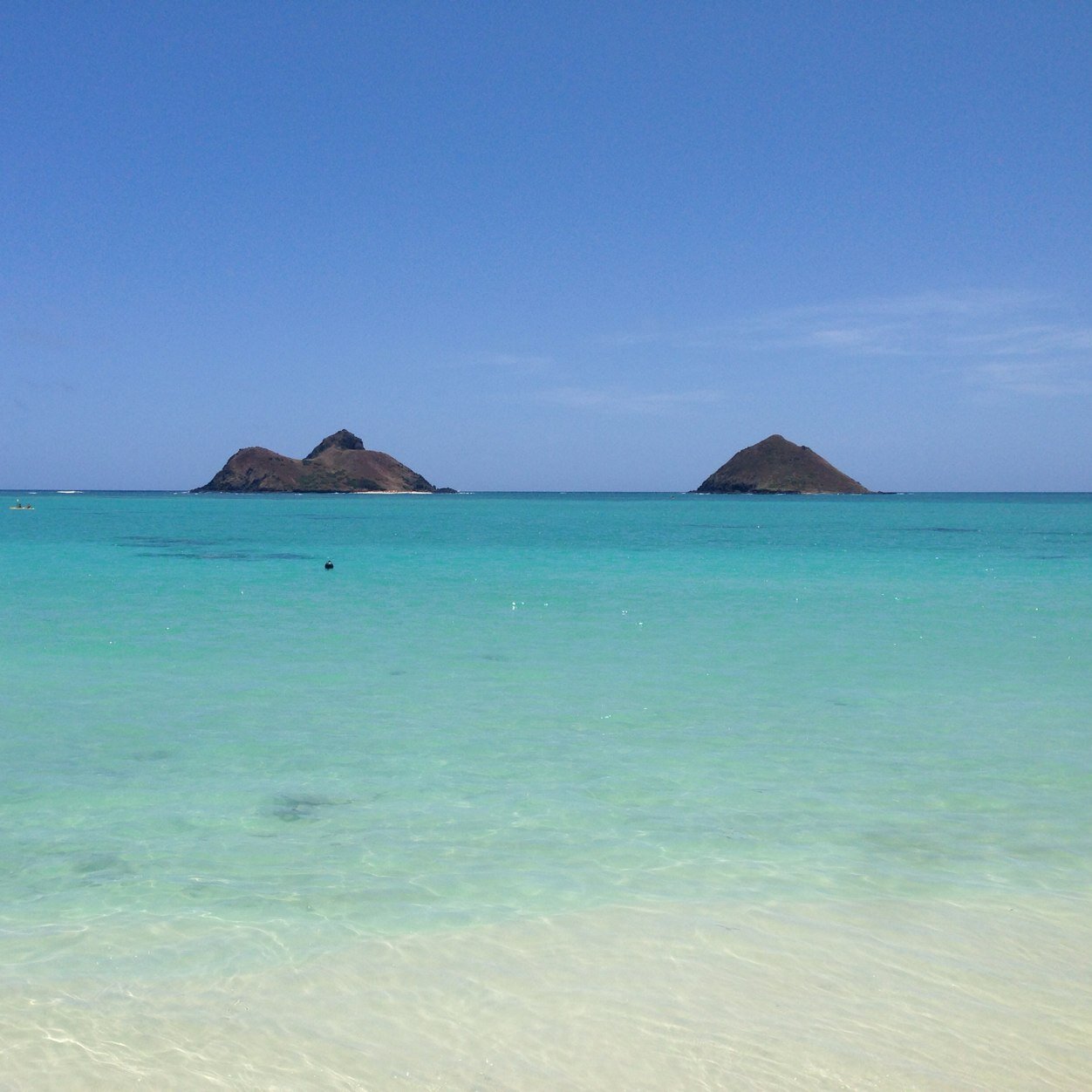 brianboardrider's profile picture. 