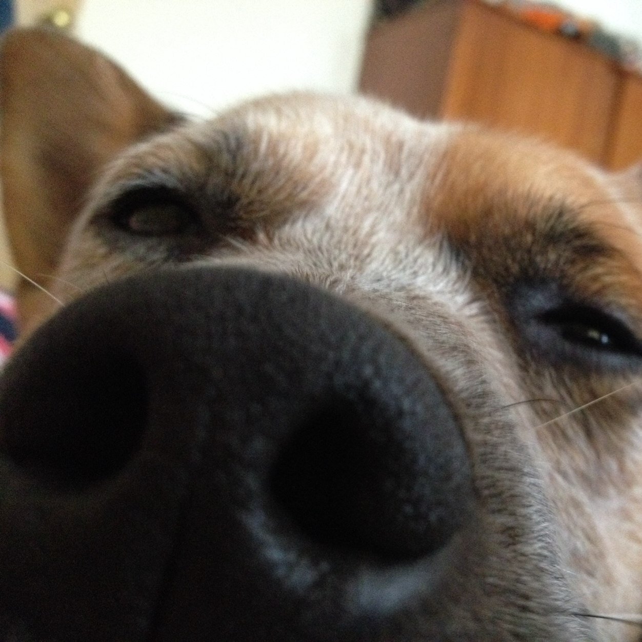 gullyjax's profile picture. 