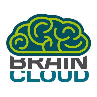 BrainCloudDG's profile picture. En BrainCloud nos dedicamos a la personalización a gusto de las consolas de video juegos, para la comunidad gamer