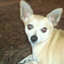 Ken Montoya - @MontoyaKen - Twitter