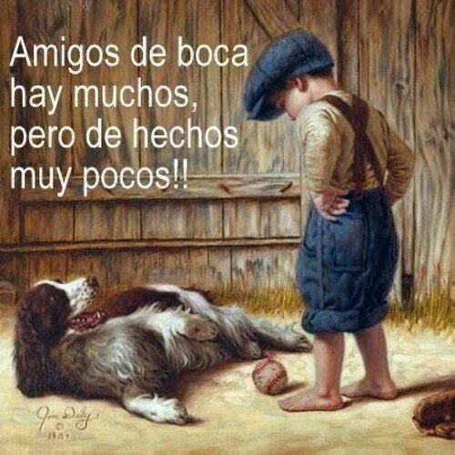 Soy una persona común no busco ni doy problemas interesado en conocer gente nueva
