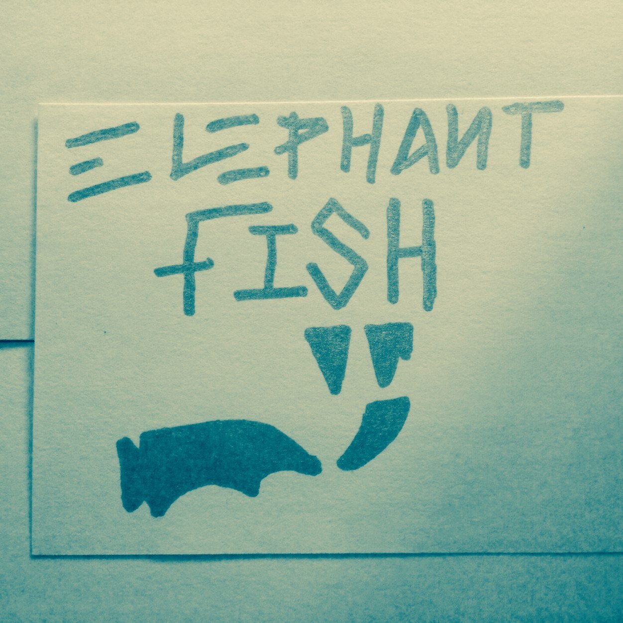 Skate company, in design stage of new prototype longboard. Lucky num #490 home of the #fishhead