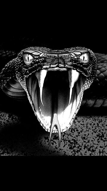 تلغي المتابعة بلغيـگ                                                                                                              follow  and  follow