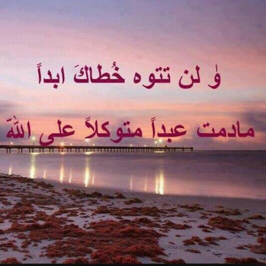 nbdata2013's profile picture. فتاه امتلاء قلبها بحب الأيتام ،،اتمنى ان اخدمهم وادعو الله ان يحقق امنيتي .