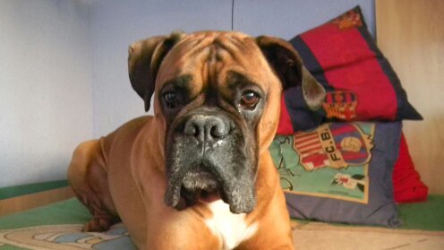 Khima_'s profile picture. 