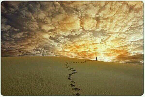 amalashry1's profile picture. 