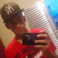Daan Projoteiro :3  (@daan3fs) 's Twitter Profile