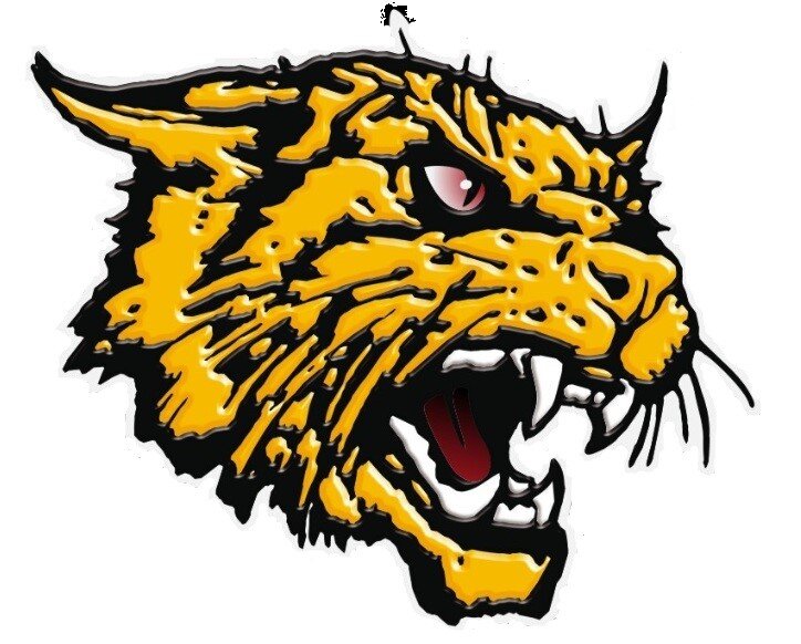 Minor Football program in Leduc Alberta. Tabbies: 6-7 yrs old Atom: 7-10 yrs old Peewee: 10-12 yrs old Bantam: 12-15 yrs old Midget: 15-17 yrs old