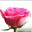 Emma Vail ♥★ - @emmavail1040 - Twitter