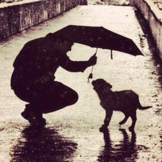 dobriy_reper's profile picture. 