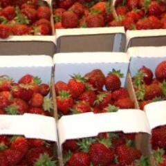 Quality fruit, vegetable & pulse producers.