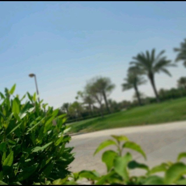 temperature17's profile picture. 