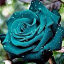 leena alzhrani (@012282990) Twitter