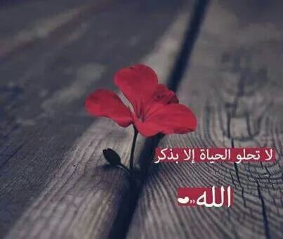 الماضي لم يعود والصديق لم يدوم