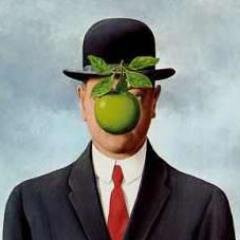 Software Developer
