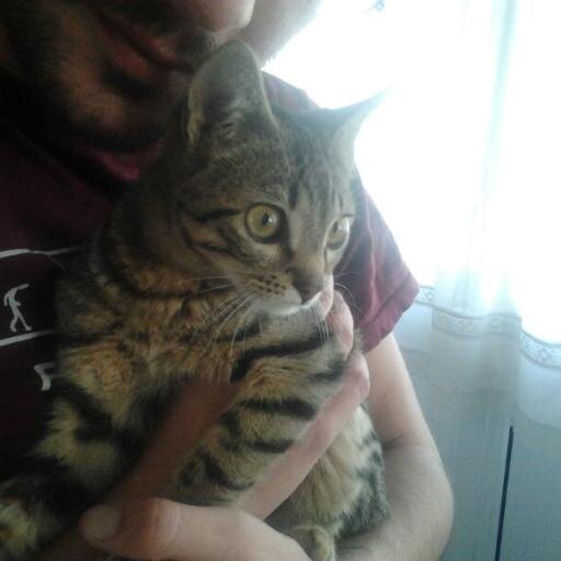 TomasGarcia55's profile picture. 