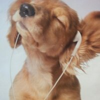 RobertS (@vrrob85) 's Twitter Profile Photo