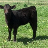 Stan Smith (@stan263attosu) 's Twitter Profile Photo