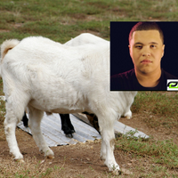 col_aches (@col_aches) 's Twitter Profile