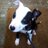 Jansen_WA's profile image
