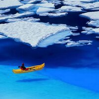 Cool Pictures™ (@various_pics) 's Twitter Profile