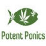 PotentPonics's profile picture. 