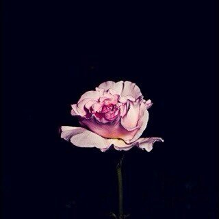 حلم يلوح من بعيد ..وثقتي بالله تزيده قربا♥♥