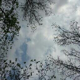 vilmalara27's profile picture. 