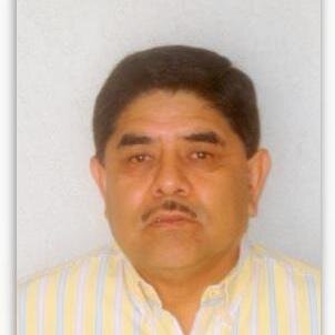 Ingeniero de Minas